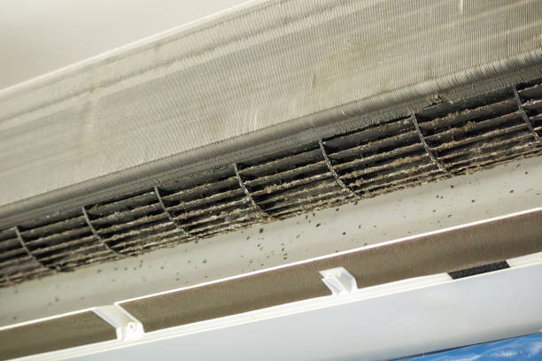 Reliable Rock Rapids, IA Airduct Cleaning Solutions