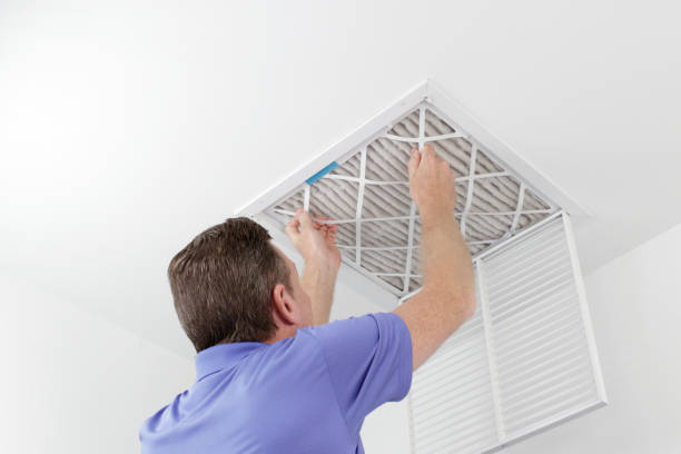 Best Air Duct Mold Removal  in Rock Rapids, IA